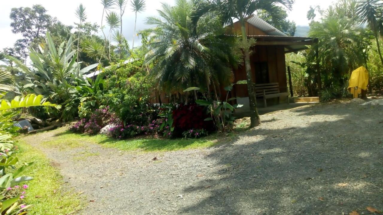 Posada Rio Celeste In Bed & Breakfast Exterior foto