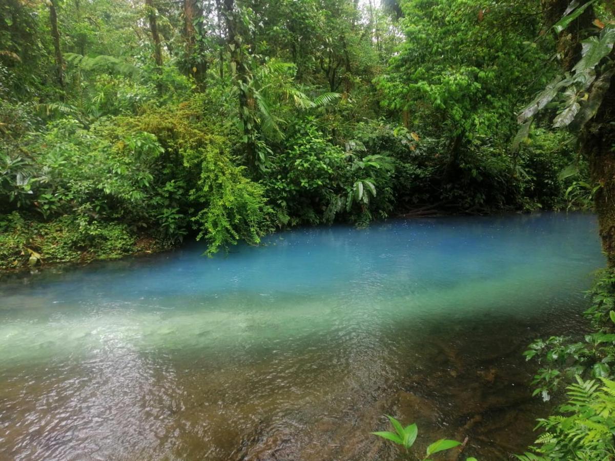 Posada Rio Celeste In Bed & Breakfast Exterior foto